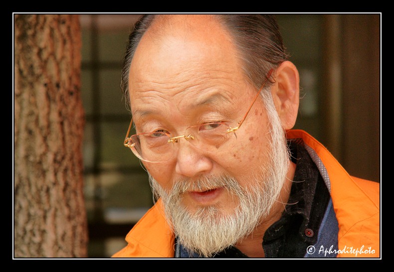 120 Japan portraits
